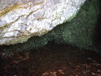 qua Rocca20100328 117
